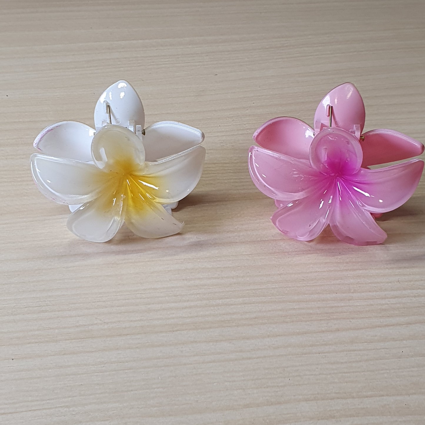 Hair Clips #8382