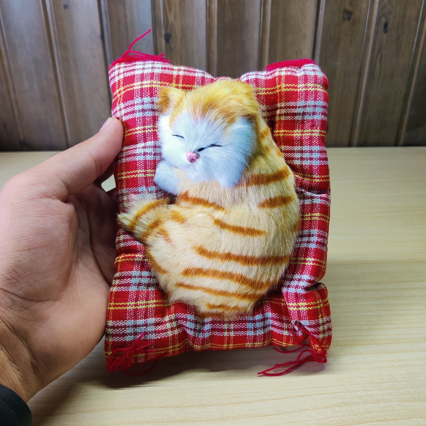 Sleeping Cat Dummy#2615