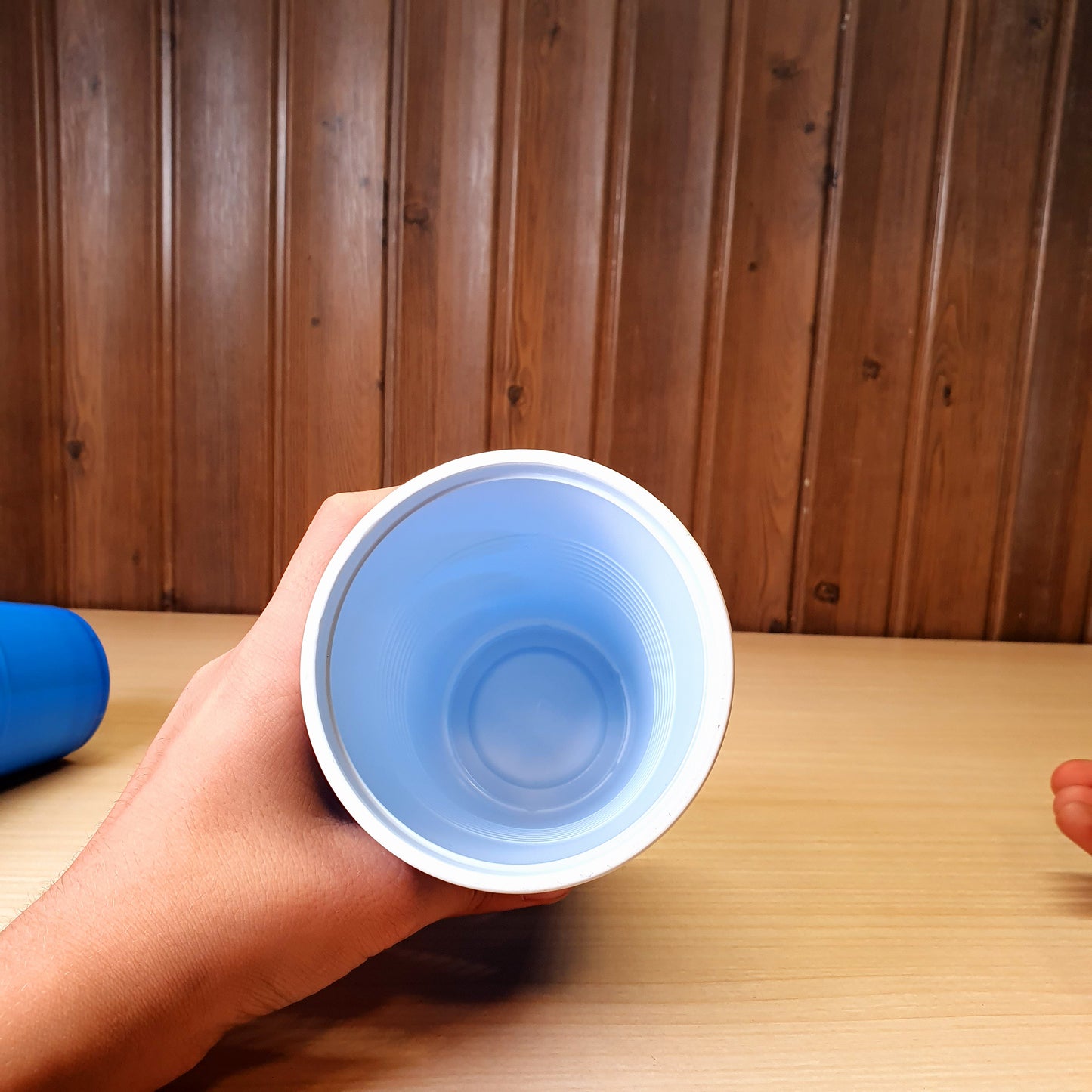 Disposable Cups # 3153