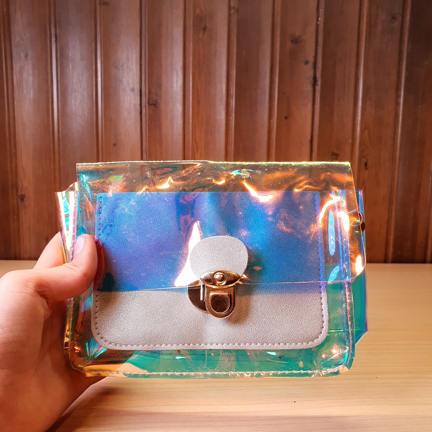Transparent Bag #3406