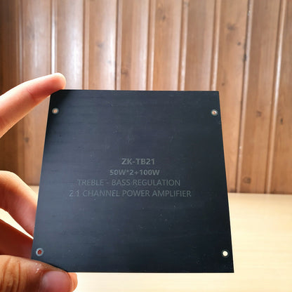 Amplifier Back Cover #3166