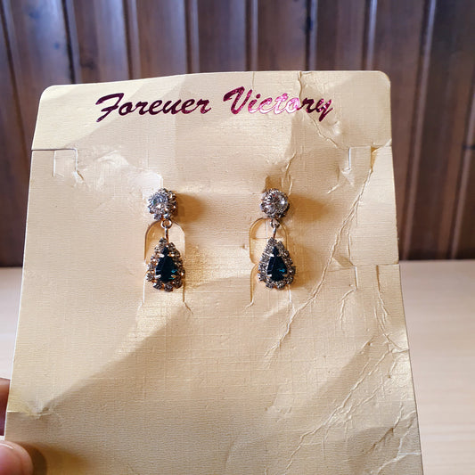 Earings Pack #4393