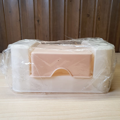 Nails Arts Plastic Organizer container #6171