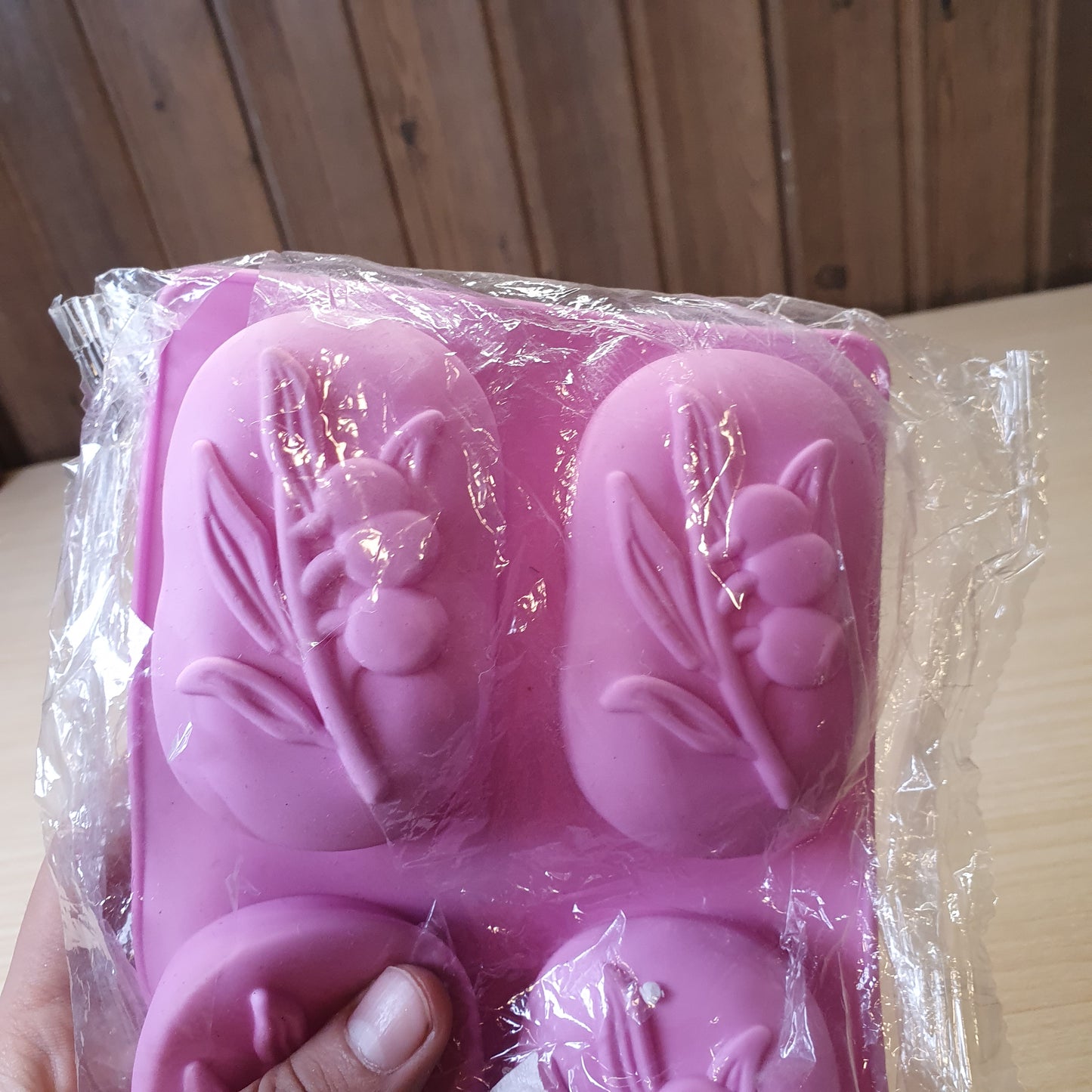 Mold #6154