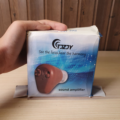 Hearing Aid #6093