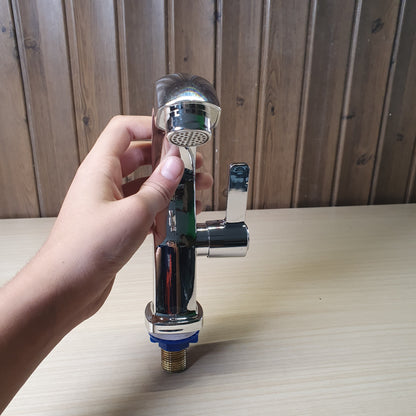 Chrome Faucet #6037