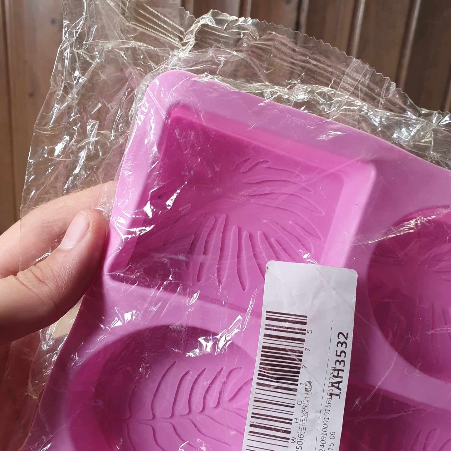 Mold #6119