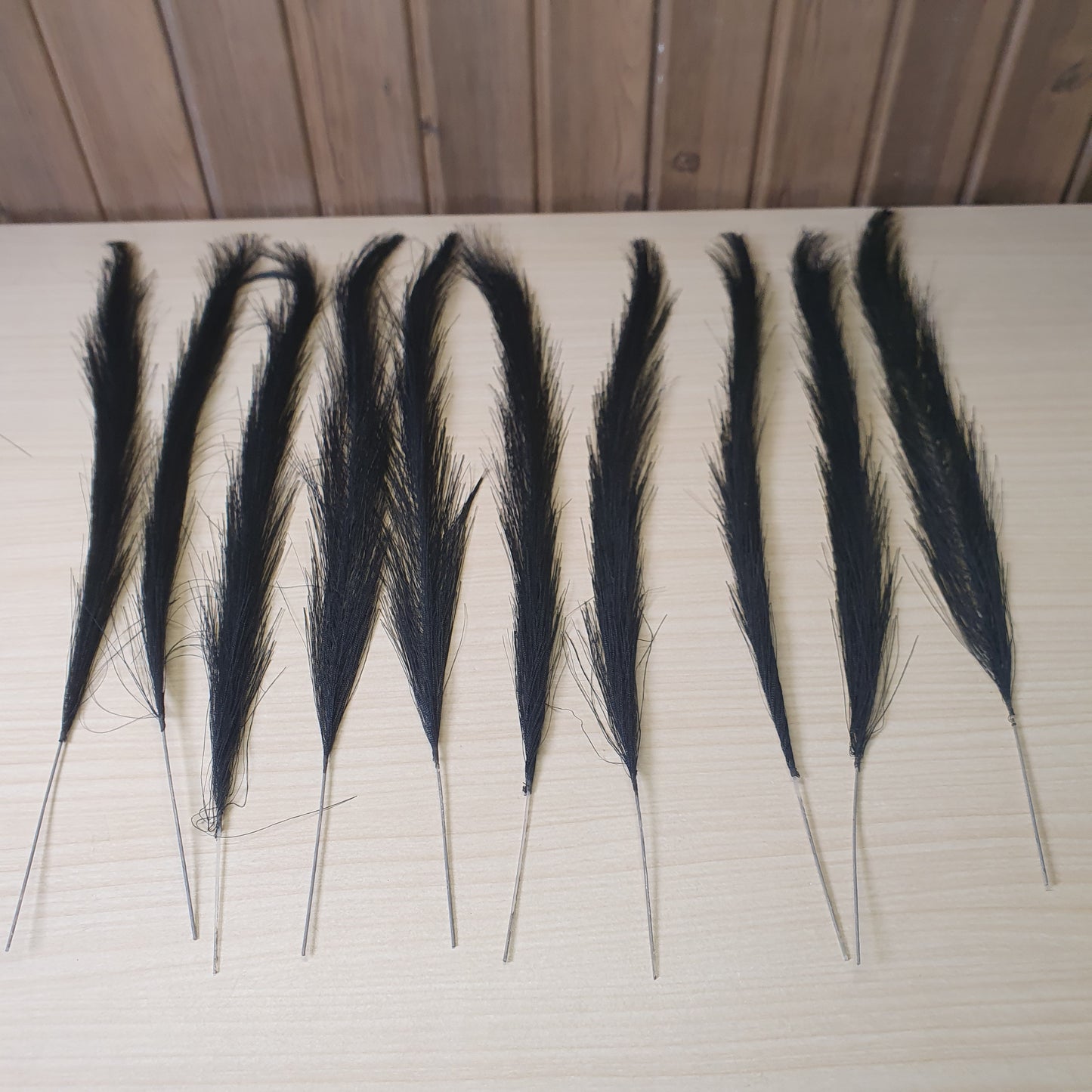 Black Pampass Grass #6048