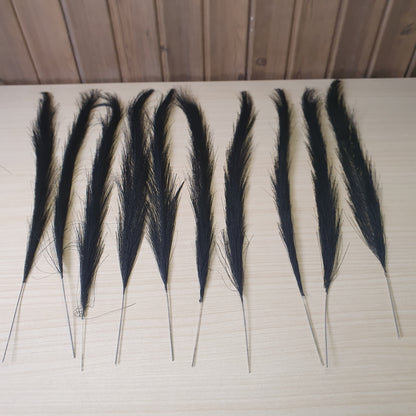 Black Pampass Grass #6048