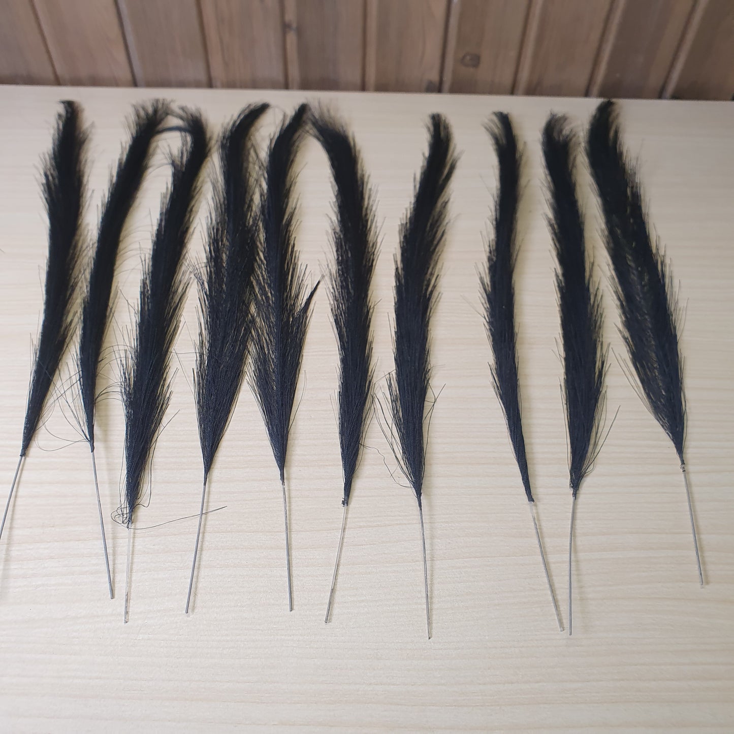 Black Pampass Grass #6048