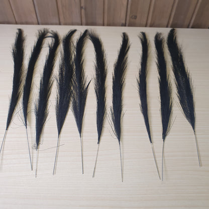 Black Pampass Grass #6048