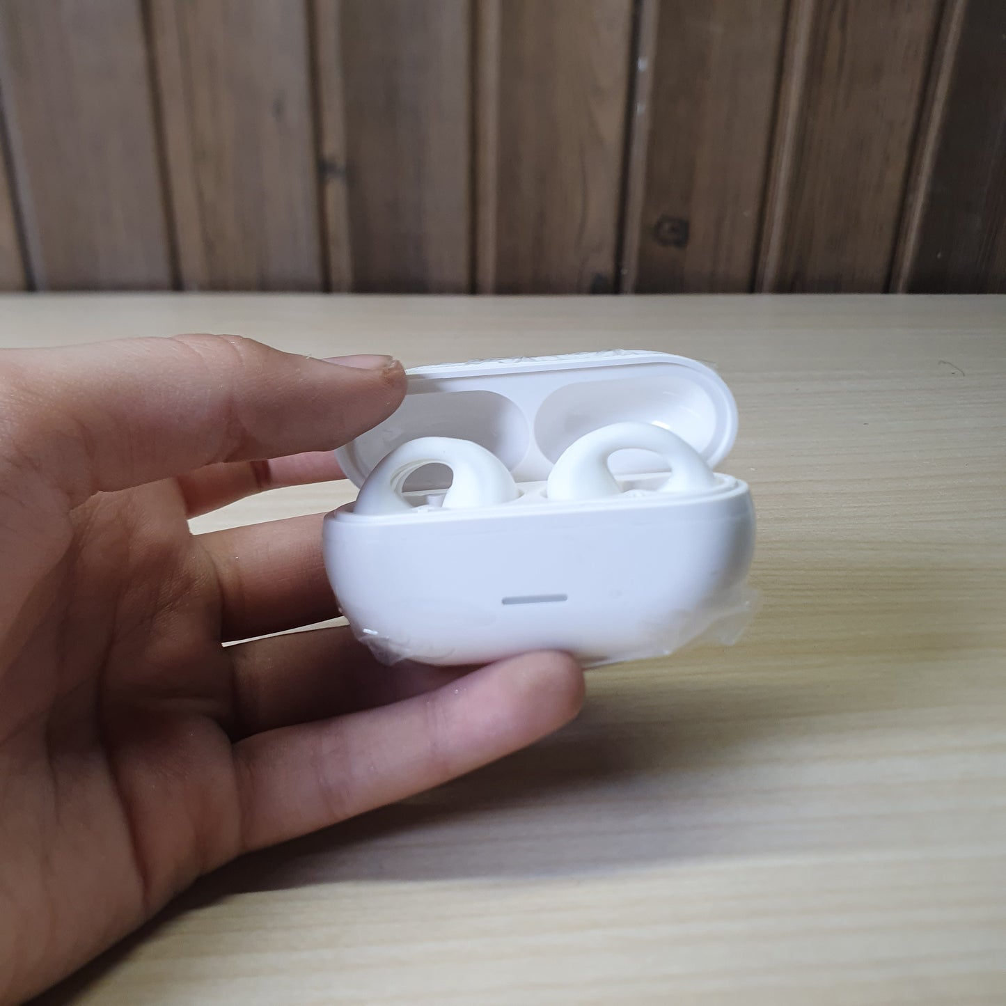 Bone Conduction earbuds #4847
