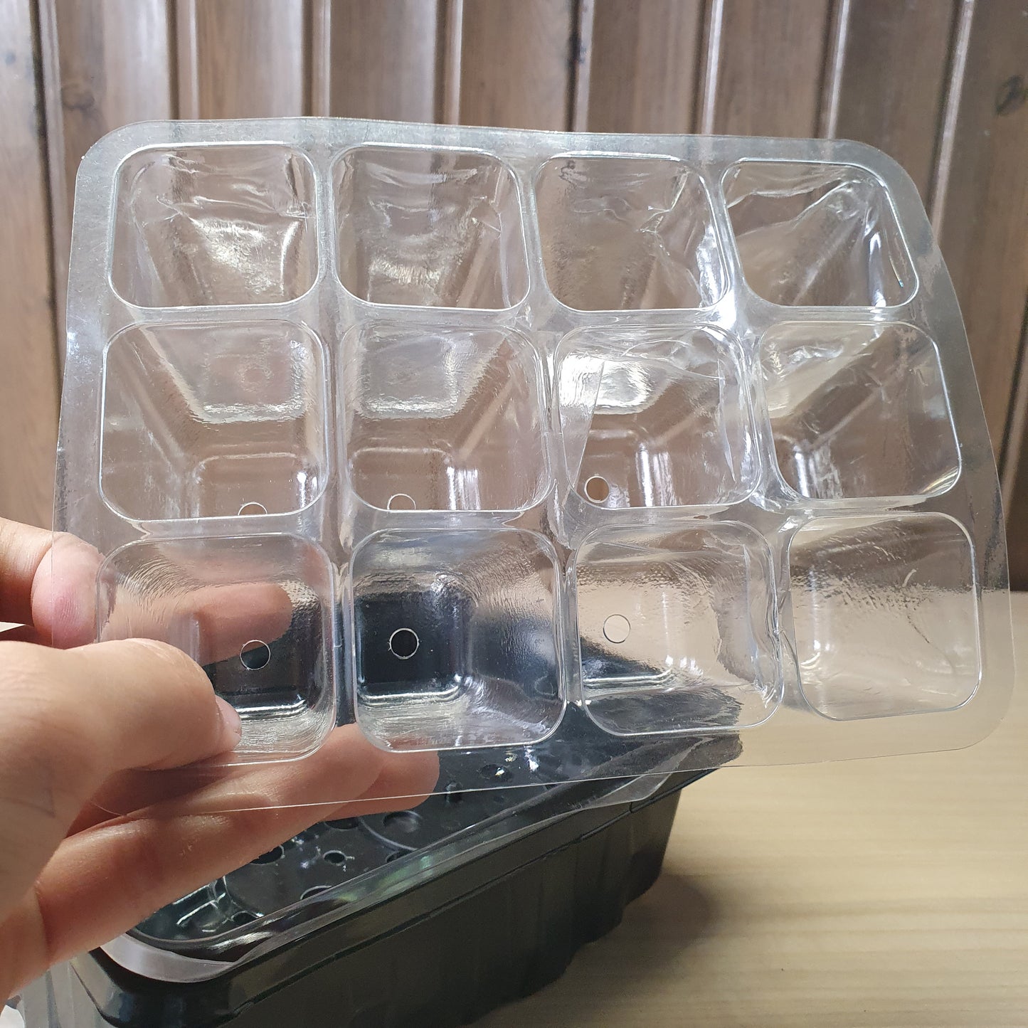 12-cell plastic seed starter propagation tray designed for germinating seeds. #6762