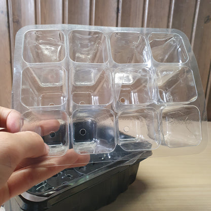 12-cell plastic seed starter propagation tray designed for germinating seeds. #6762