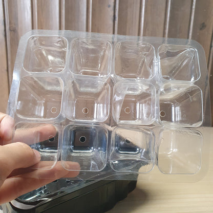 12-cell plastic seed starter propagation tray designed for germinating seeds. #6762