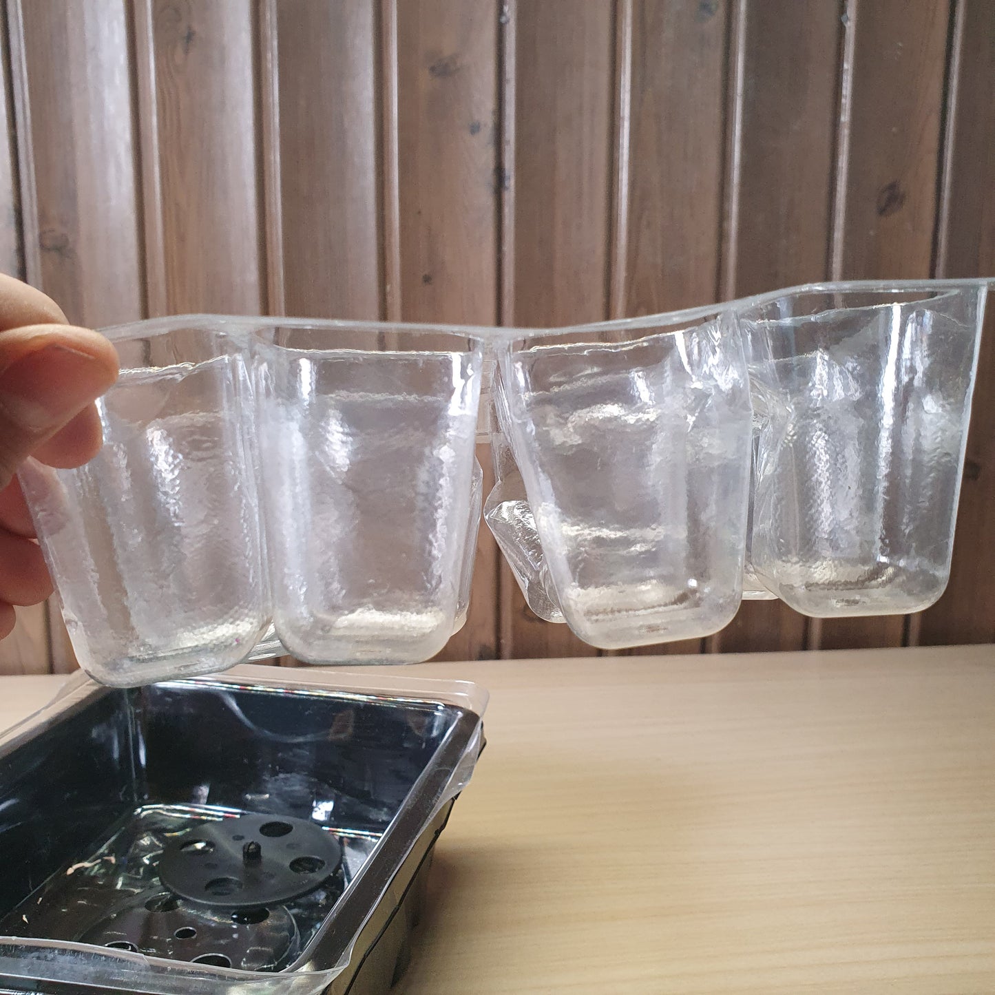 12-cell plastic seed starter propagation tray designed for germinating seeds. #6762