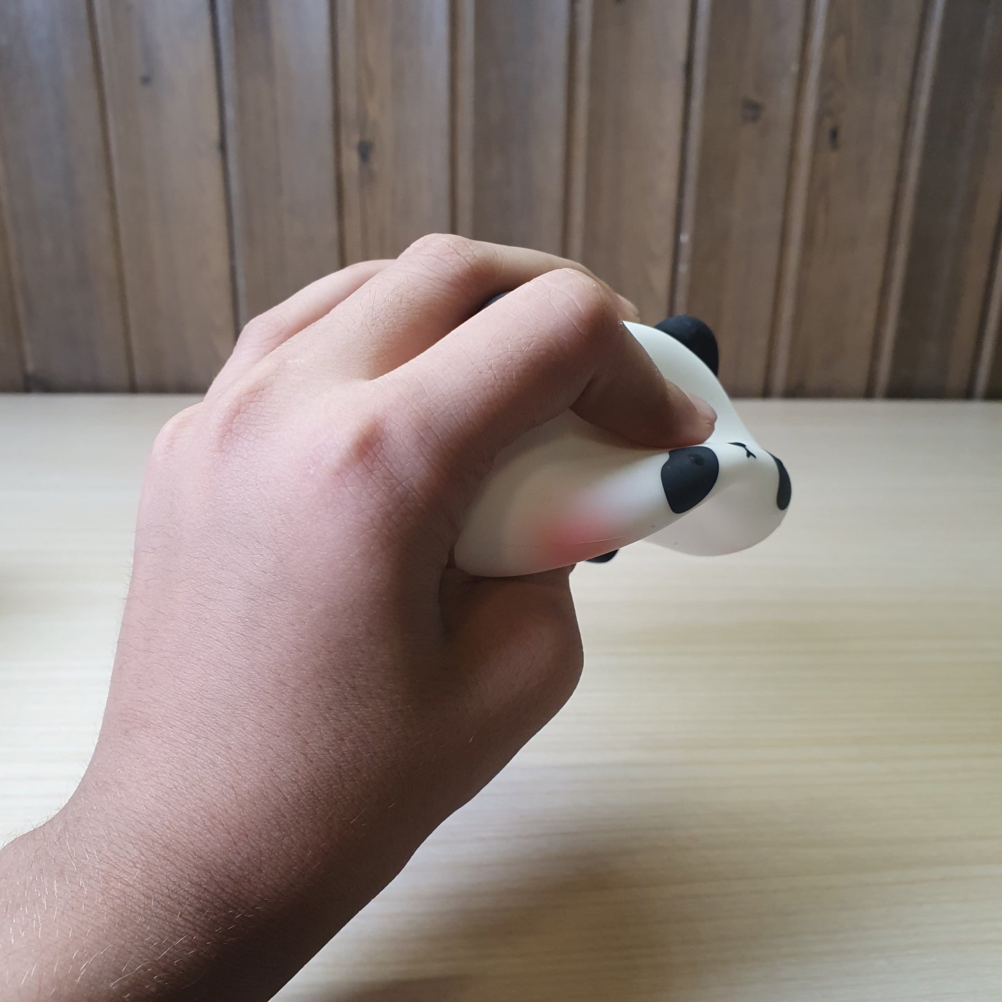 Panda Silicone Lamp #6806