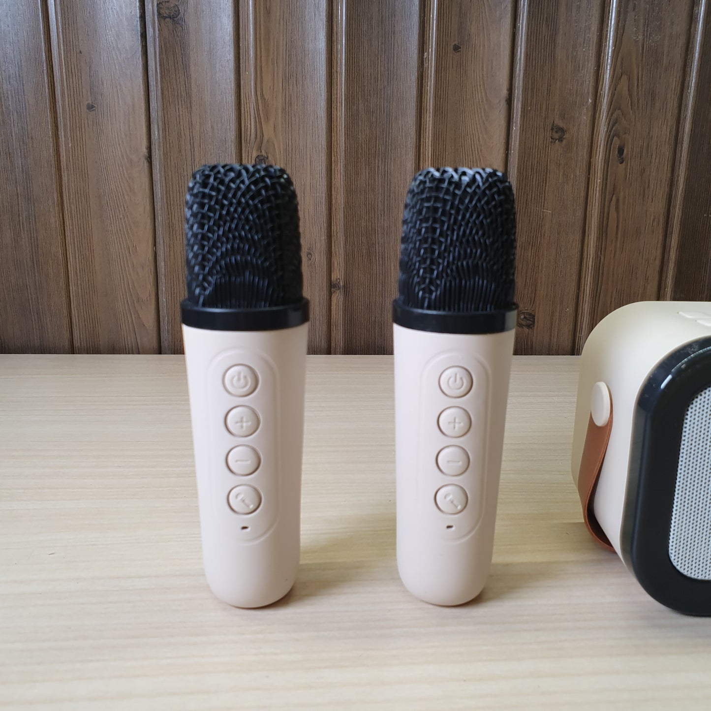 Karaoke Sound System #6682