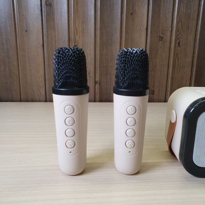 Karaoke Sound System #6682