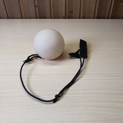 LED Poi Ball used for dance performance and exercise.#6970