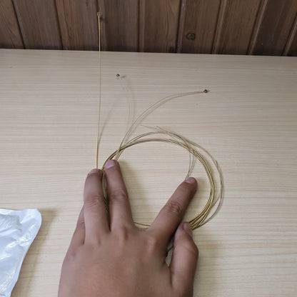 Guitar Strings #6610