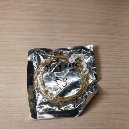 Acoustic Guitar Strings #6542