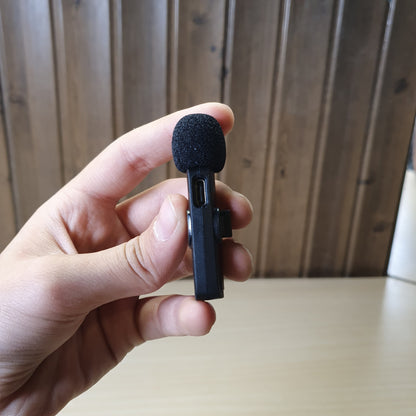 Tyoe C Mic #6875