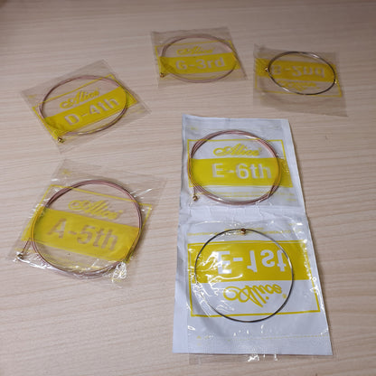 Acoustic Guitar Strings #6831
