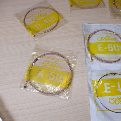Acoustic Guitar Strings #6831