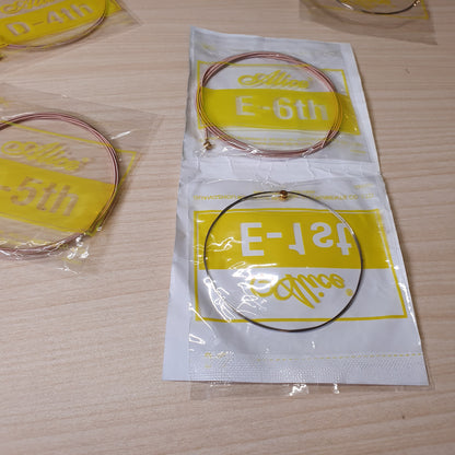 Acoustic Guitar Strings #6831