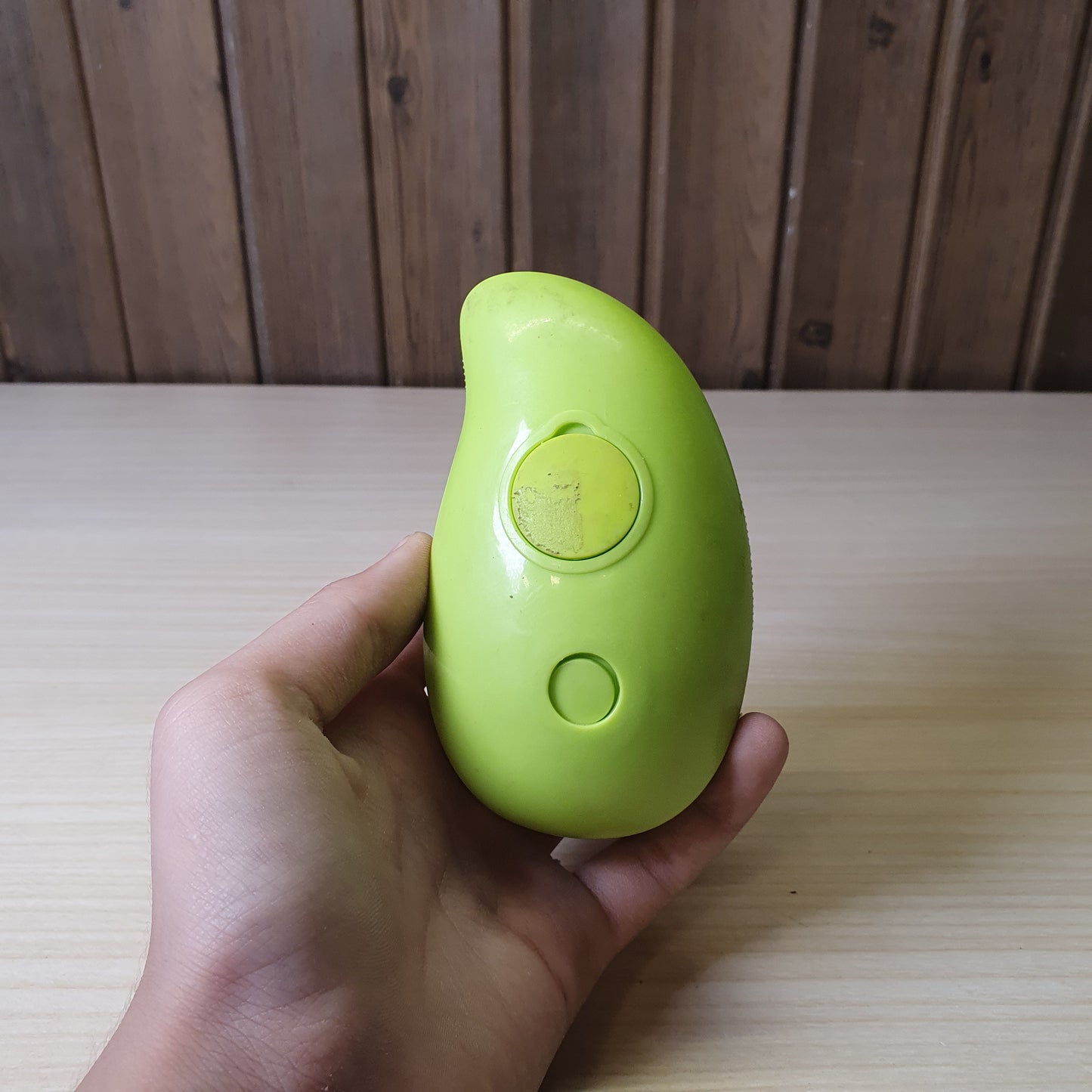 3-in-1 Pet steam brush #8043