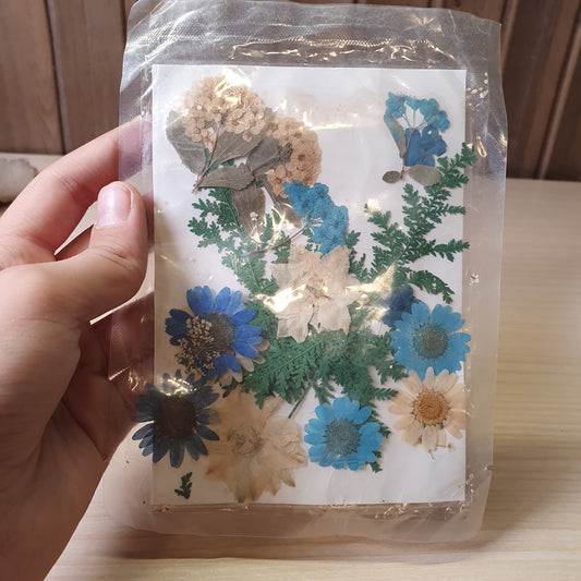 Real dried pressed flowers intended for DIY craft projects such as resin  #8254
