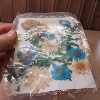 Real dried pressed flowers intended for DIY craft projects such as resin  #8254