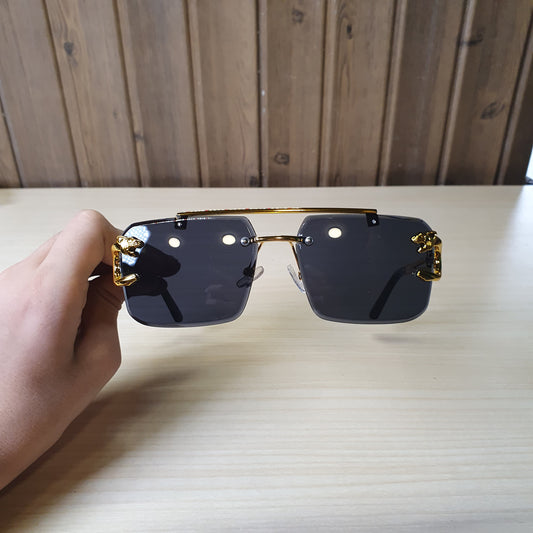 Sunglasses #8590