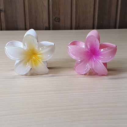Hair Clips #8382