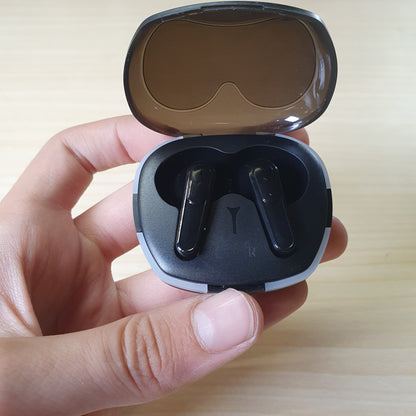 Earbuds #8313