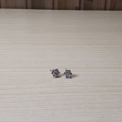 Earings #8660