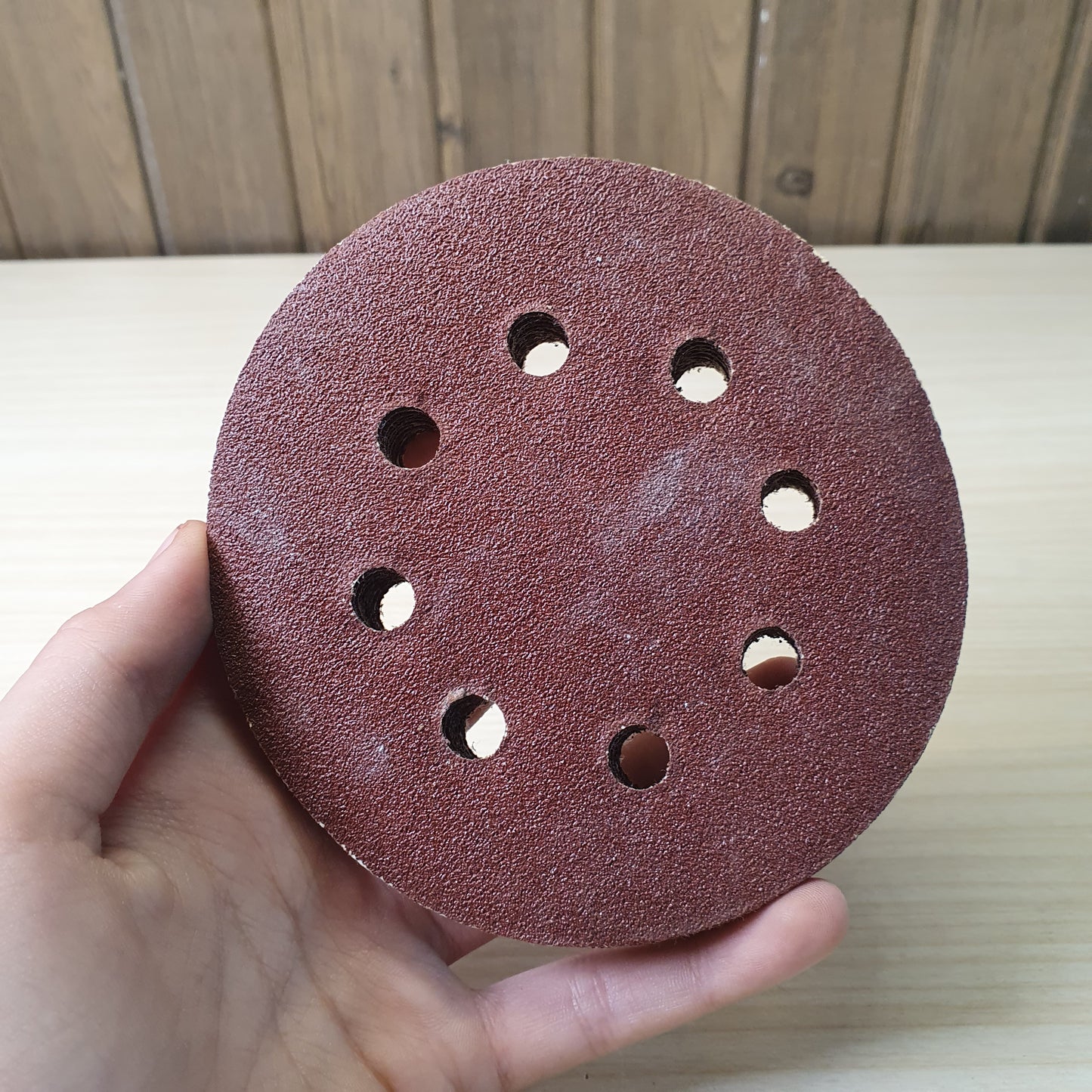 Sanding Disc #9125
