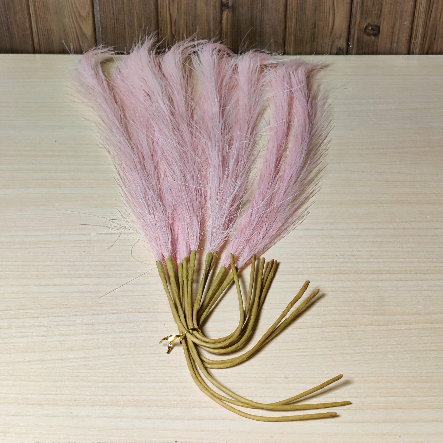 Pink pampas grass #264