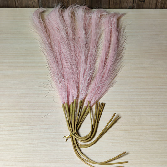 Pink pampas grass #264