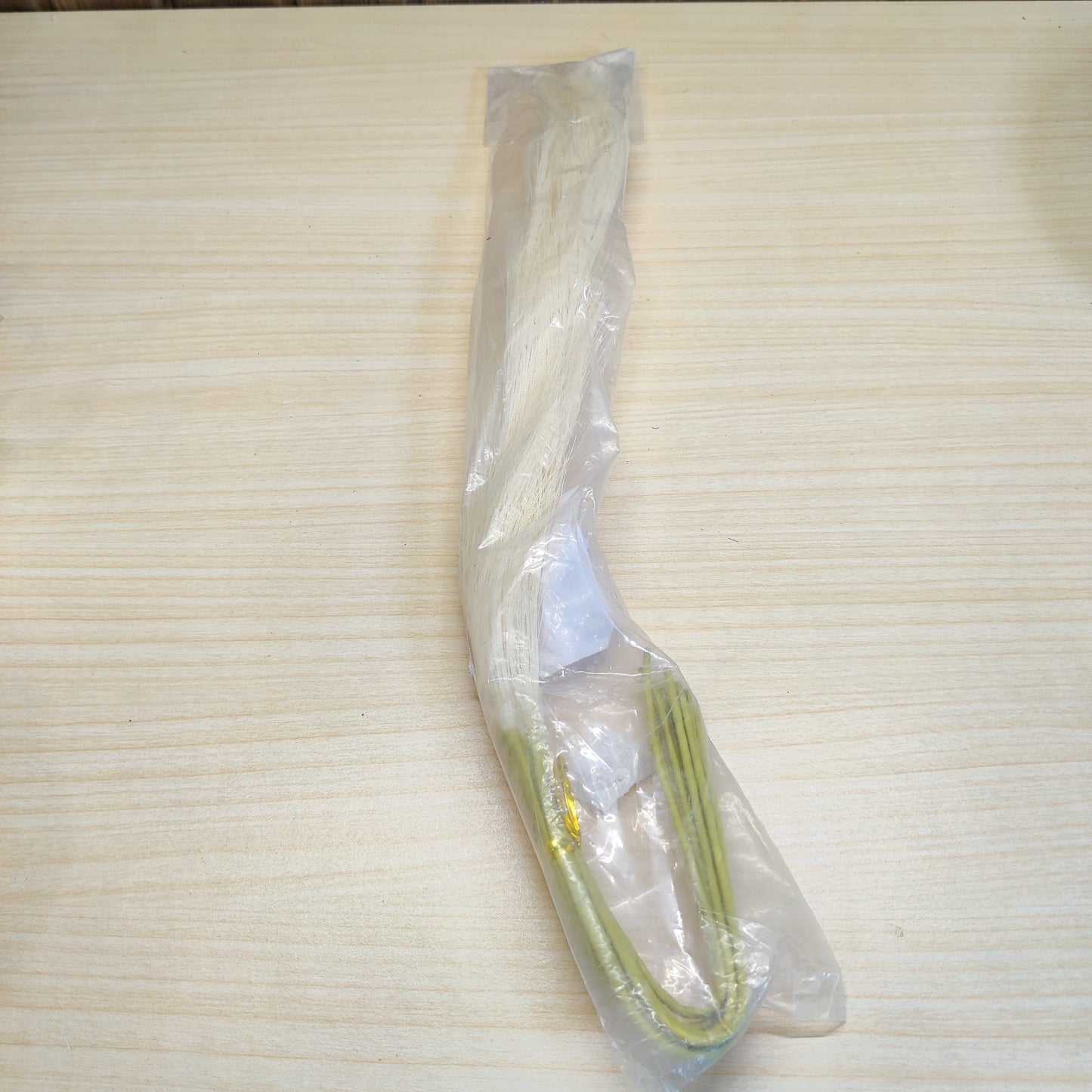 OFF White Pampass Grass #678