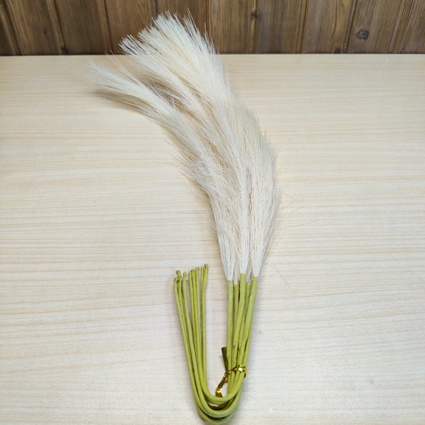 OFF White Pampass Grass #678