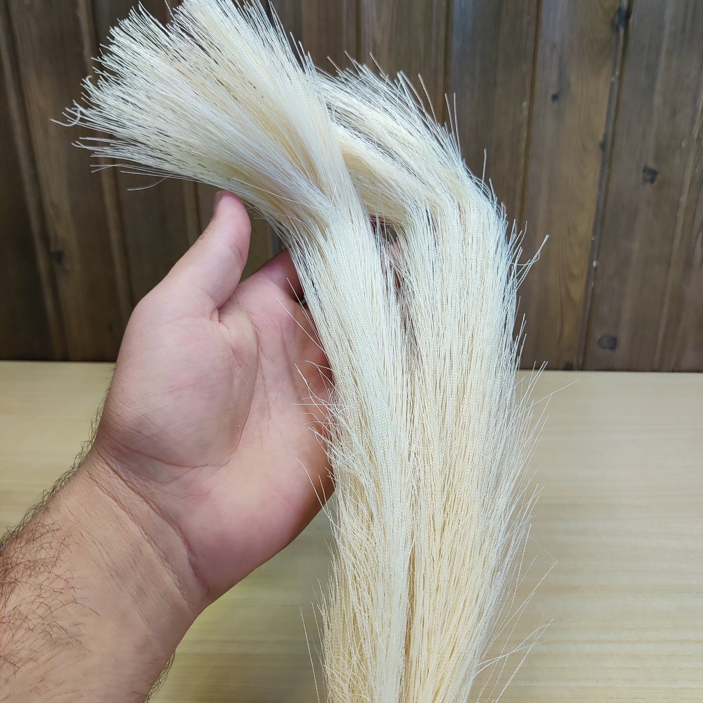 OFF White Pampass Grass #678