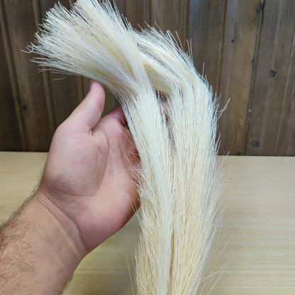 OFF White Pampass Grass #678