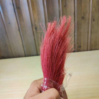 Red Pampass Grass #2449