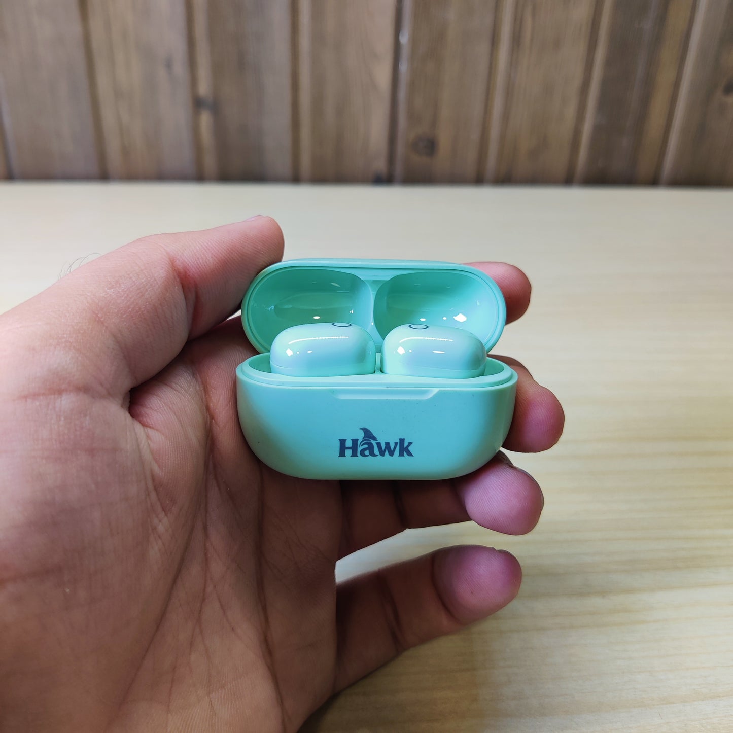 Earbuds #4843